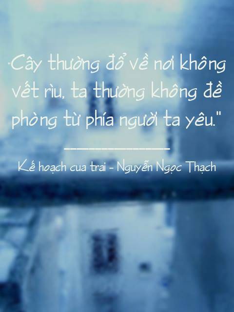 Những stt hay để đời trong phim và tiểu thuyết hay nhất mọi thời đại 3