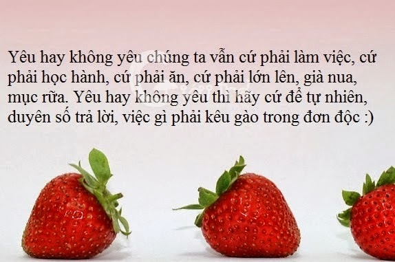 Stt tình yêu dễ thương ngắn gọn cực hay 1