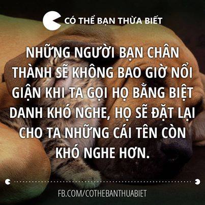 Những câu status hay nhất mọi thời đại về tình bạn bằng tiếng anh 3