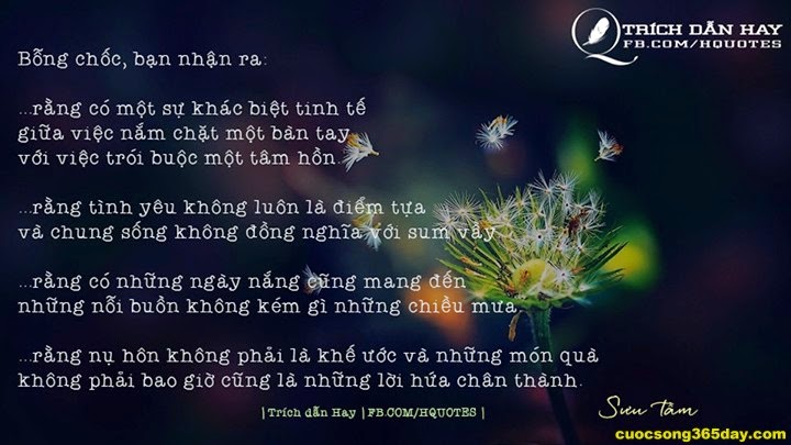 Những câu status hay và ý nghĩa nhất về cuộc sống quanh ta 4