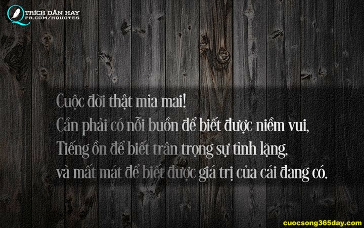 Những câu status hay và ý nghĩa nhất về cuộc sống quanh ta 10