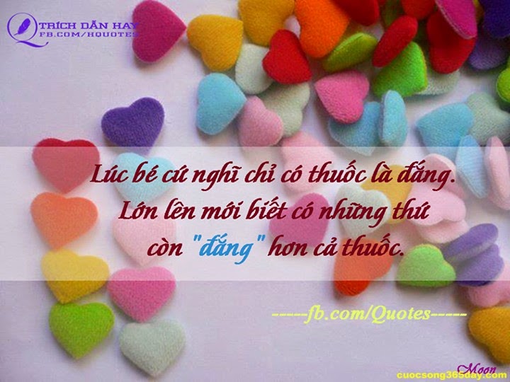 Những câu status hay và ý nghĩa nhất về cuộc sống quanh ta 11