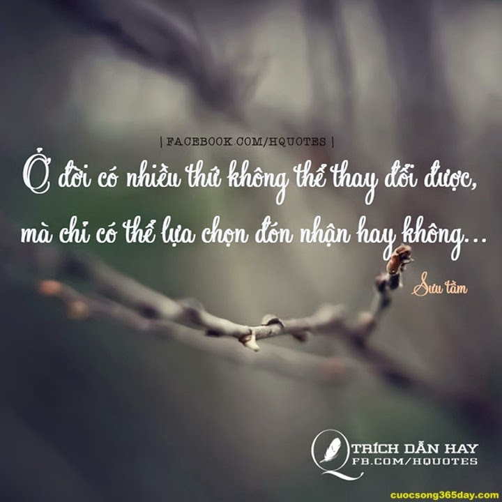Những câu status hay và ý nghĩa nhất về cuộc sống quanh ta 14