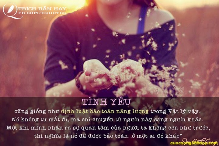 Những câu status hay và ý nghĩa nhất về cuộc sống quanh ta 17