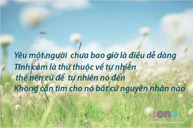Những stt hay về tình yêu đẹp lãng mạn nhất 2015 trên facebook 2