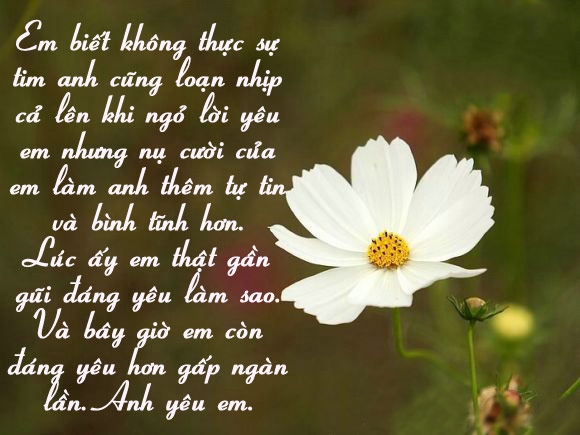 Những stt hay nhất về tình yêu ngọt ngào và hạnh phúc của đôi lứa bằng hình ảnh 4