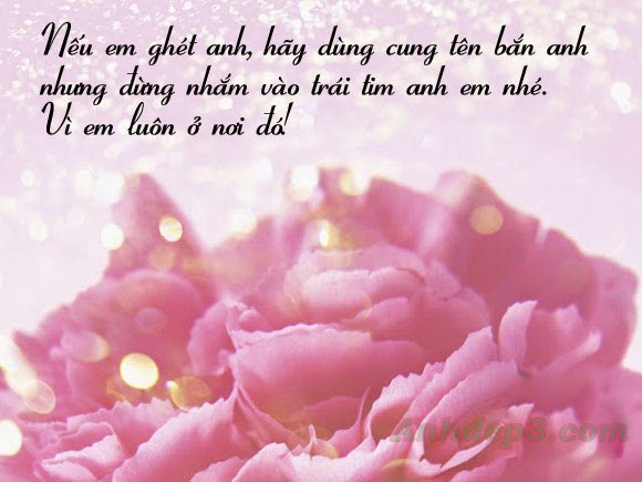 Những stt hay nhất về tình yêu ngọt ngào và hạnh phúc của đôi lứa bằng hình ảnh 13