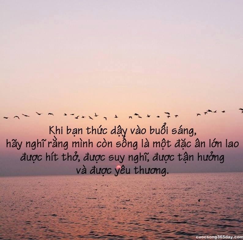 Stt hay về cuộc sống và tình yêu trên face book cực kỳ ý nghĩa thấm đượm lòng người 3