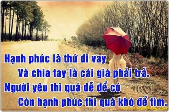 Stt hay về cuộc sống và tình yêu trên face book cực kỳ ý nghĩa thấm đượm lòng người 6