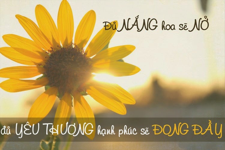 Stt hay về cuộc sống và tình yêu trên face book cực kỳ ý nghĩa thấm đượm lòng người 8