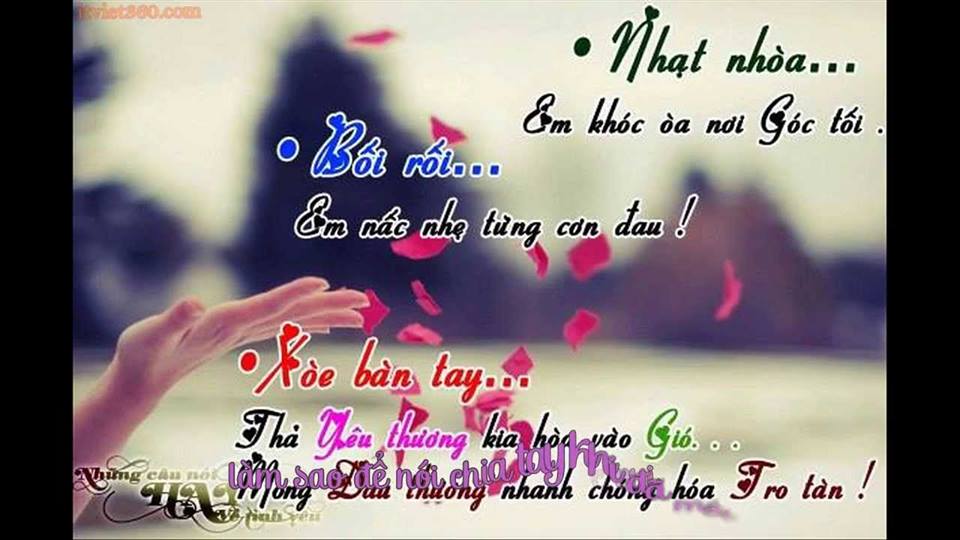 Những stt hay và ý nghĩa đáng trân trọng về tình yêu bạn không nên bỏ qua 4