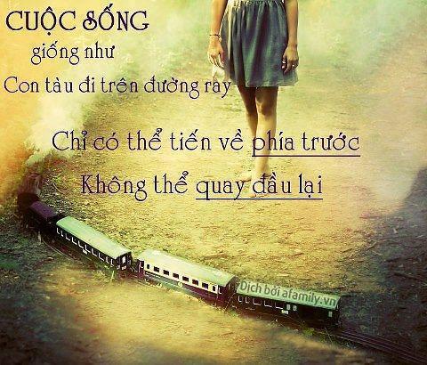 Tổng hợp những câu stt hay về cuộc sống bạn nên đọc một lần trong đời 0