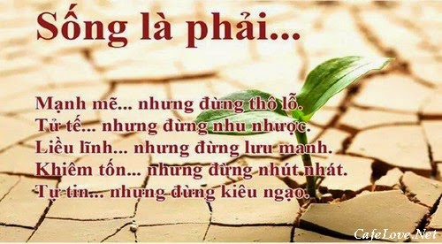 Tổng hợp những câu stt hay về cuộc sống bạn nên đọc một lần trong đời 1