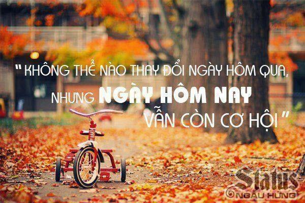 Tổng hợp những câu stt hay về cuộc sống bạn nên đọc một lần trong đời 2