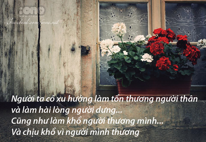 Tổng hợp những câu stt hay về cuộc sống bạn nên đọc một lần trong đời 12