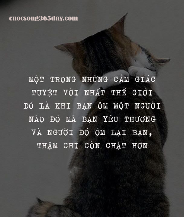 Những câu stt hay nhất về cuộc sống buồn 1