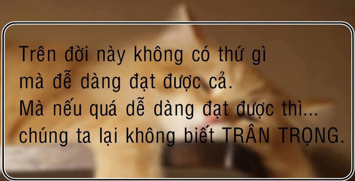 Những câu stt hay nhất về cuộc sống buồn 19