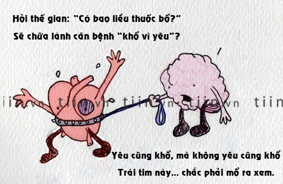 Những stt hay ngắn gọn hài hước và độc đáo nhất trên mạng xã hội facebook 4