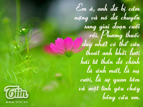 Stt tình yêu độc đáo và dễ thương cho các cặp đôi yêu nhau 0