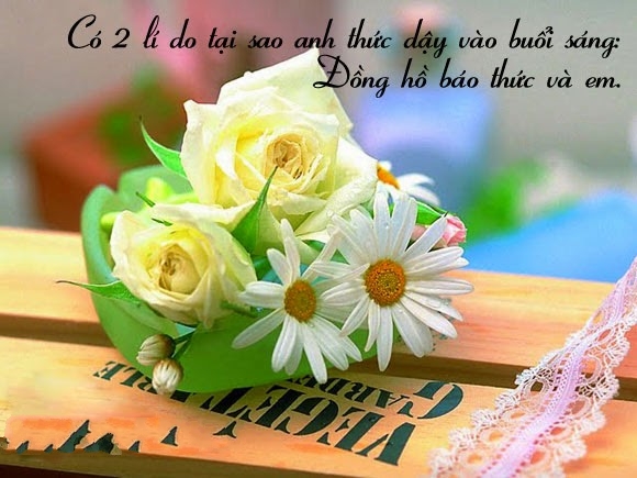 Tổng hợp những stt hay và lãng mạn về tình yêu cho đôi lứa yêu nhau cực cảm động 0
