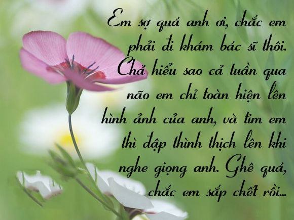 Tổng hợp những stt hay và lãng mạn về tình yêu cho đôi lứa yêu nhau cực cảm động 10