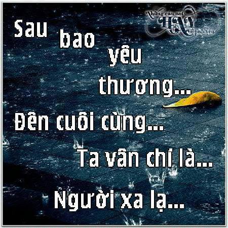 Stt buồn cô đơn nhất về tình yêu lắng đọng chất chứa nỗi niềm riêng 6