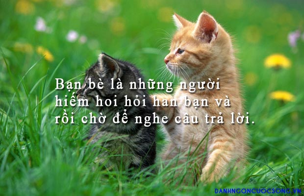 Những stt về bạn bè hay và ý nghĩa nhất trên facebook 1