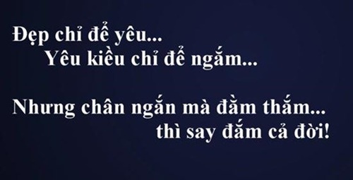 Stt hay chất đểu độc đáo về cuộc sống 0