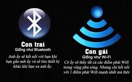 Stt hay chất đểu độc đáo về cuộc sống 7