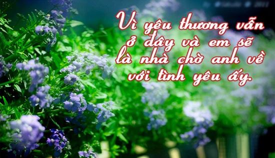 Những stt hay bất hủ về tình yêu đơn phương tâm trạng buồn não nề 2