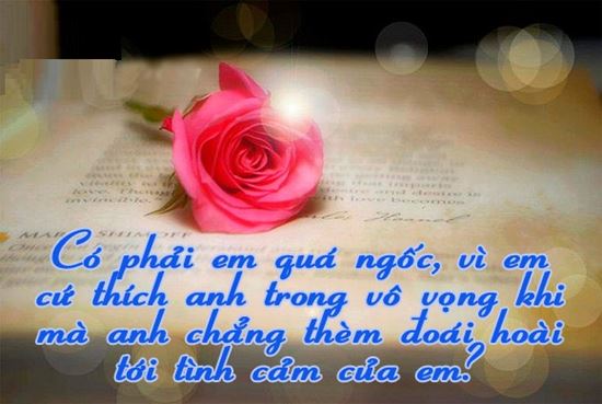Những stt hay bất hủ về tình yêu đơn phương tâm trạng buồn não nề 9