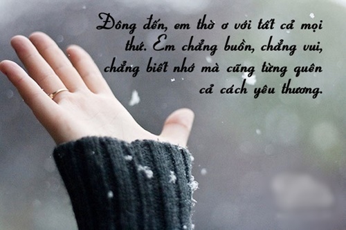Những câu Status hay về tình yêu được tổng hợp từ Facebook 9