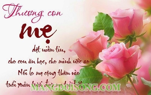 Ngày của mẹ là ngày nào trong năm – Quà tặng mẹ ý nghĩa – lời chúc hay ngày của mẹ 5