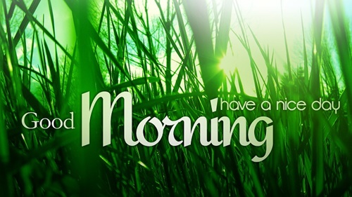 Những lời chúc buổi sáng hay ý nghĩa bằng hình ảnh đẹp đáng để đăng lên tường 2