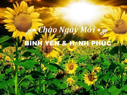 Những lời chúc buổi sáng hay ý nghĩa bằng hình ảnh đẹp đáng để đăng lên tường 3