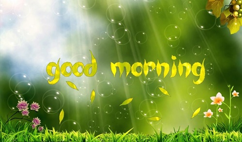 Những lời chúc buổi sáng hay ý nghĩa bằng hình ảnh đẹp đáng để đăng lên tường 8