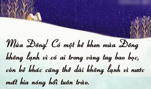 Những câu nói hay về mùa đông lạnh giá buồn tủi ý nghĩa nhất 2