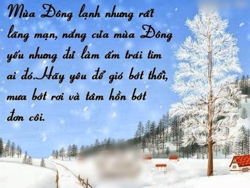 Những câu nói hay về mùa đông lạnh giá buồn tủi ý nghĩa nhất 10