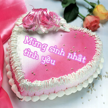Tin nhắn chúc mừng sinh nhật người yêu hay nhất cực lãng mạn 0