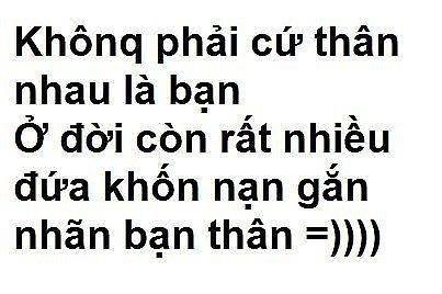 Những câu nói hay về tình bạn tri kỷ sắp chia tay cảm động nhất 9