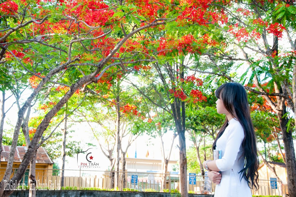 Những câu nói – bài thơ hay bồi hồi và hoài niệm về tuổi học trò ý nghĩa nhất bạn không nên bỏ qua 4