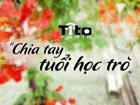 Những câu nói – bài thơ hay bồi hồi và hoài niệm về tuổi học trò ý nghĩa nhất bạn không nên bỏ qua 5