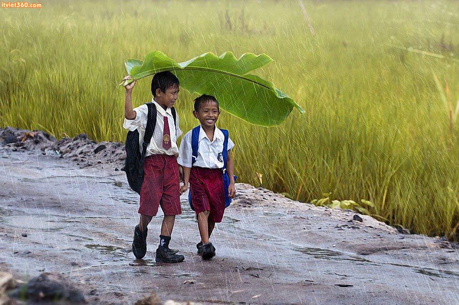 Những câu nói – bài thơ hay bồi hồi và hoài niệm về tuổi học trò ý nghĩa nhất bạn không nên bỏ qua 6