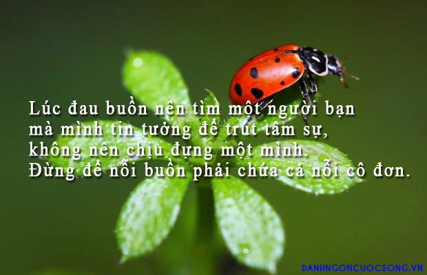 Những câu nói hay độc về tình bạn buồn bằng tiếng anh đi vào lòng người 5