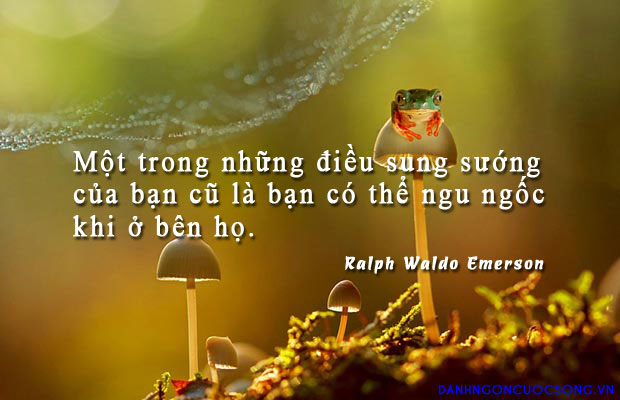 Những câu nói hay độc về tình bạn buồn bằng tiếng anh đi vào lòng người 6