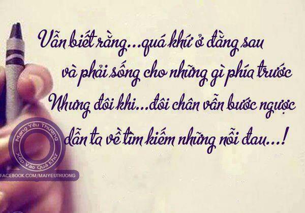 Tổng hợp những câu nói hay và chất về cuộc sống, tình bạn và tình yêu 1