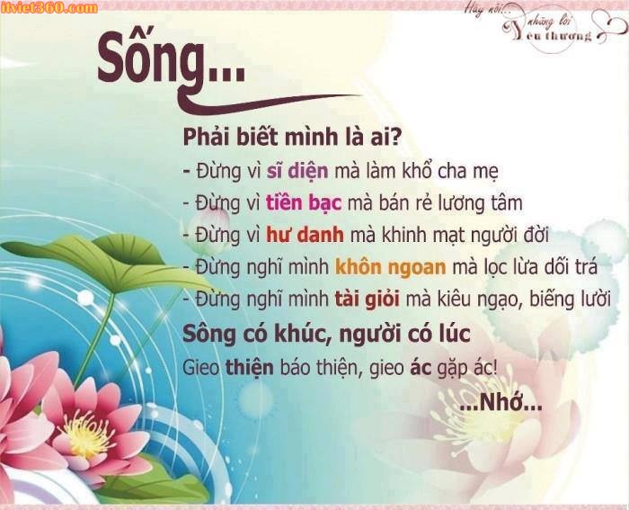 Tổng hợp những câu nói hay và chất về cuộc sống, tình bạn và tình yêu 5