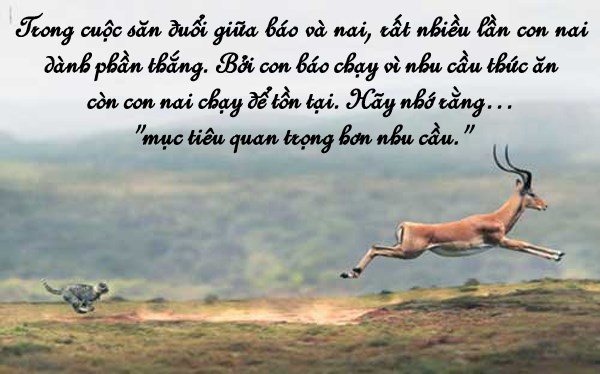 Những câu nói hay về tình yêu và cuộc sống trên facebook ý nghĩa nhất 3