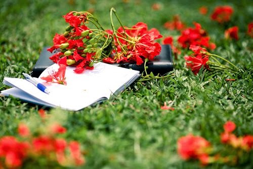 Tuyển tập những bài thơ hay về tình bạn tinh nghịch tuổi học trò mãi trong tim mỗi người 0