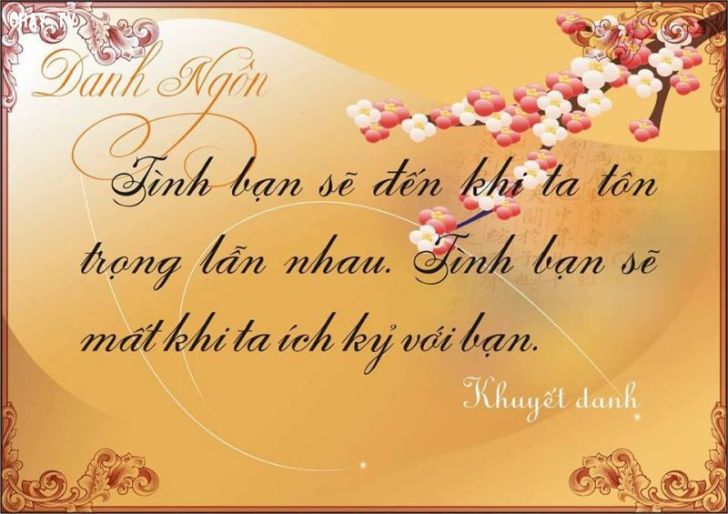 Những câu nói về tình bạn hay và thấm thía nhất cho mọi người 2